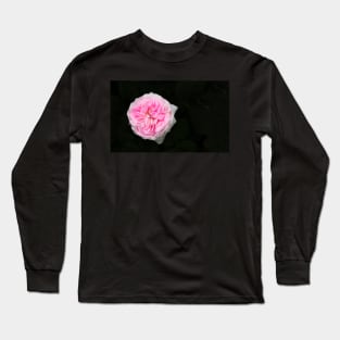 Pink flower in bloom Long Sleeve T-Shirt